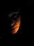 05.02.2006 19:21  -  450×600  -  6 kt.