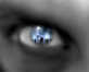 22.03.2006 17:59  -  311×250  -  30 kt.
