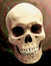 30.05.2006 21:22  -  350×450  -  28 kt.