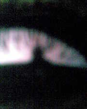 11.05.2010 08:21  -  614×768  -  91 kt.