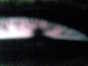 11.05.2010 08:21  -  614×768  -  91 kt.