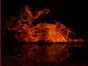 14.07.2010 21:54  -  267×251  -  10 kt.