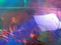 20.01.2011 10:35  -  1024×768  -  79 kt.