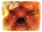 25.01.2011 23:43  -  640×640  -  50 kt.