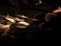 15.03.2011 23:07  -  319×480  -  18 kt.