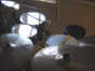 09.10.2006 22:23  -  800×600  -  79 kt.