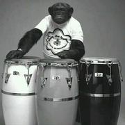 Wanted (#204979) Wanted (#204979)